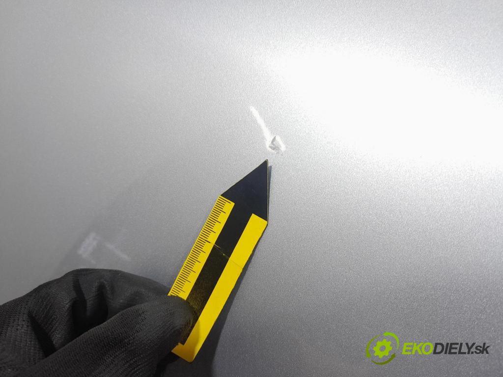 Skoda Fabia 2009 dvere Predné pravé